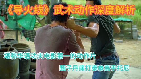 《导火线》武术动作深度解析：堪称华语功夫电影第一的动作片，甄子丹痛打泰拳高手托尼