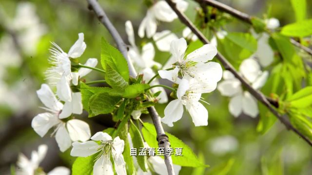 游购乡村 | 民俗文化在这里华彩绽放 “潮在振兴不夜村”欢迎您