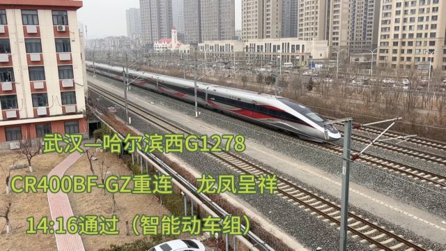 天津东兴路天桥拍车机位,来看看津秦客专、京津延长线的行车密度