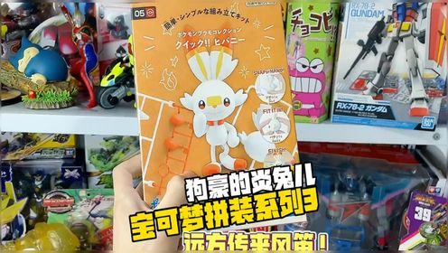 宝可梦拼装系列3~狗豪的炎兔儿登场！远方传来风笛！_高清1080P在线观看平台_腾讯视频
