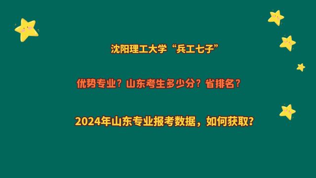 沈阳理工大学“兵工七子”,山东考生多少分?20212023山东数据