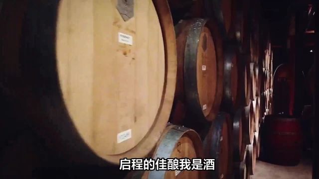 中视酒业:流浪的酒瓶子