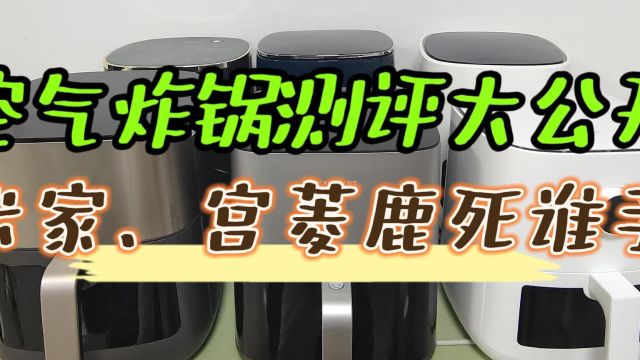 什么牌子的空气炸锅质量好?米家、宫菱测评较量