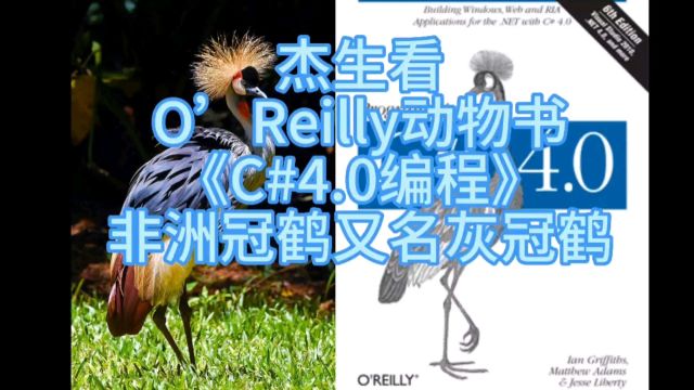 杰生看动物书009《编程C#4.0》非洲冠鹤又名#灰冠鹤#动物世界