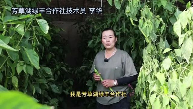 师市召开纪检监察干部队伍教育整顿动员部署会