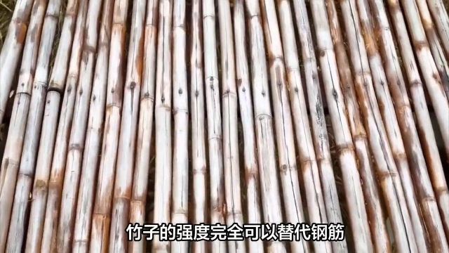 现在盖房子用竹片代替钢筋?这样做出的房子真的能住人吗?1盖房子