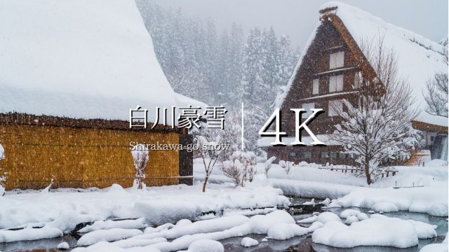 日本旅游 大雪的白川乡