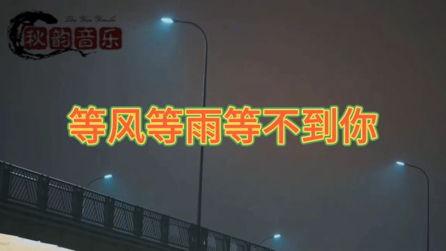 等风等雨等不到你