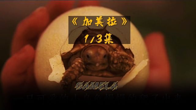 加美拉 第一集 Gamela