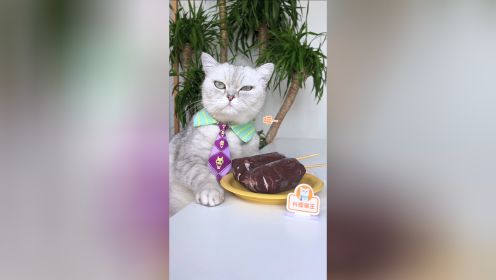 猫王：塑料袋+巧克力＝脆皮雪糕？