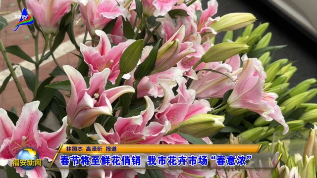 20240209春节将至鲜花俏销 我市花卉市场“春意浓”