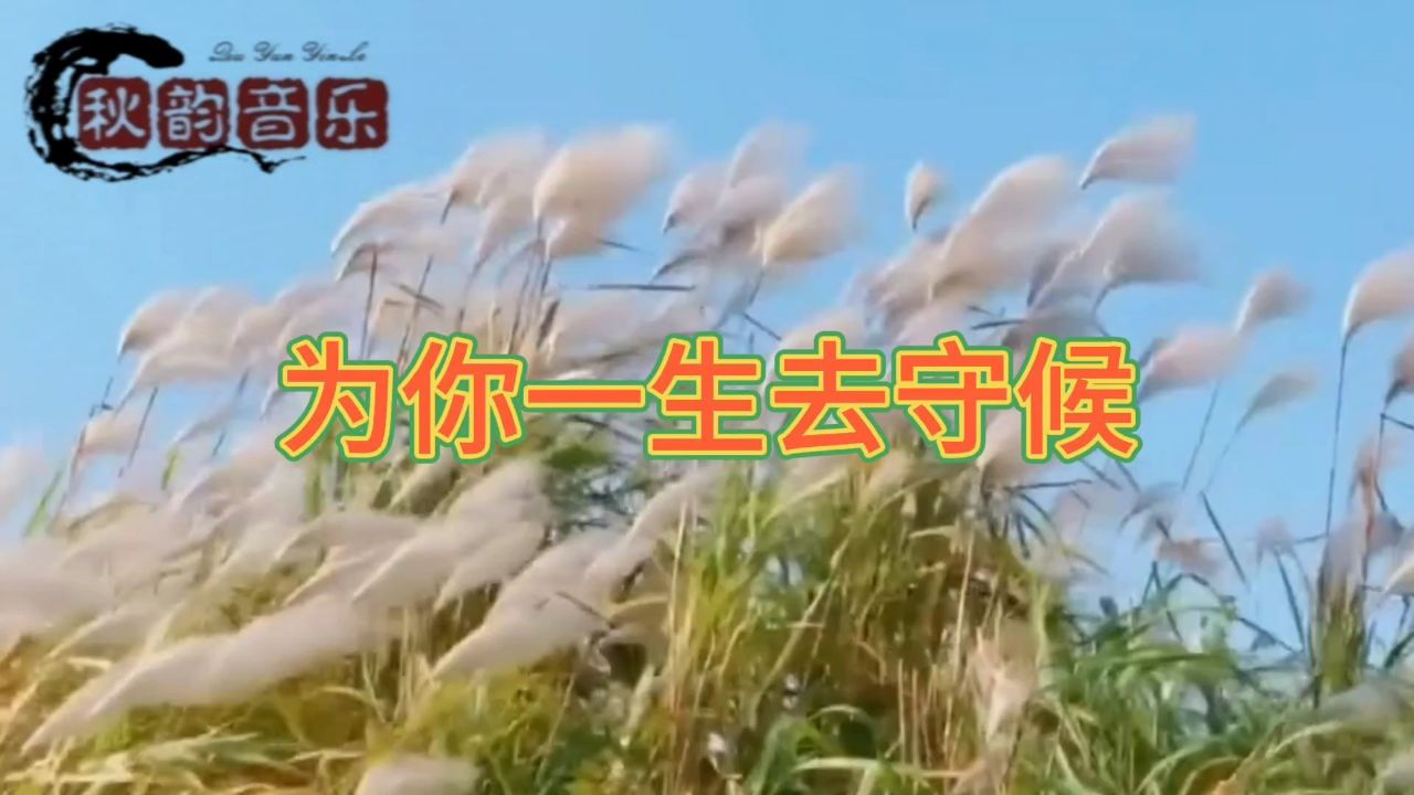 为你一生去守候