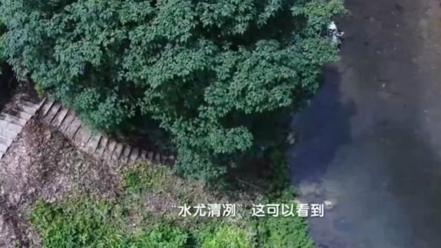 书本旅行团身临其境,置身于语文课本中的《小石潭记》的美景中