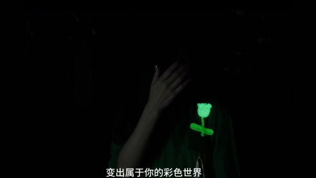 光变温变夜光反光领导者