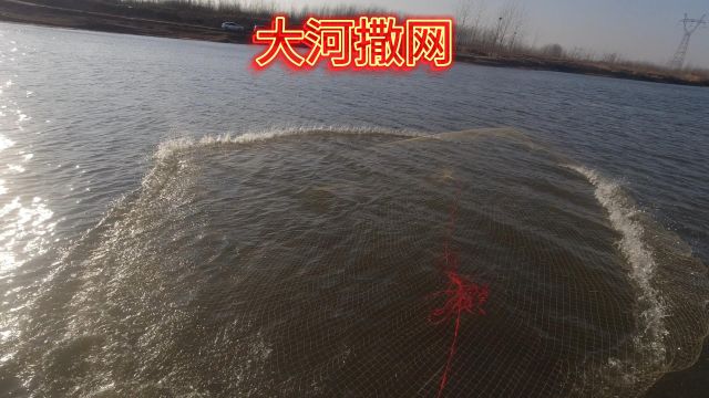 潢川小黄河撒网,风浪越大鱼越贵