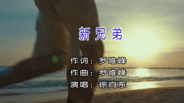 徐向东演唱歌曲《新兄弟》KTV版