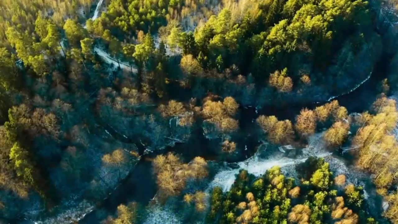 莫得桑,#0000ff,无面小生 - 雪下了一夜 伴奏