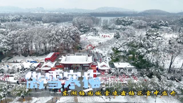 寻美武汉# 东湖梅园是中国赏梅最佳地特别是傲雪凌霜时武汉又要下雪了,2024年春节后第一场雪即将来临,傲雪凌霜,雪天赏梅,就来中国四大梅园之一,...