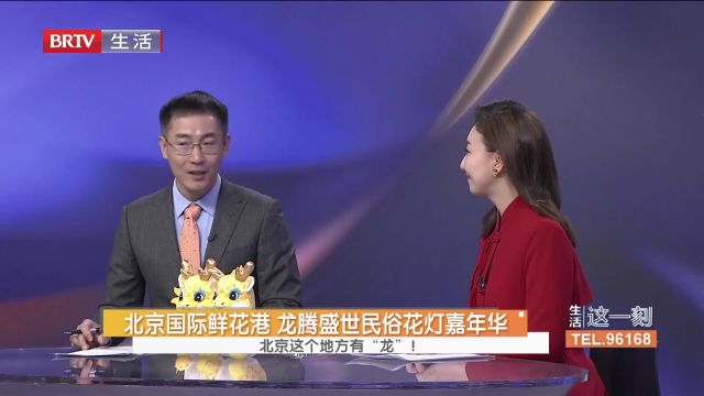 北京世园公园,龙腾盛世花灯盛宴,北京这个地方有“龙”!