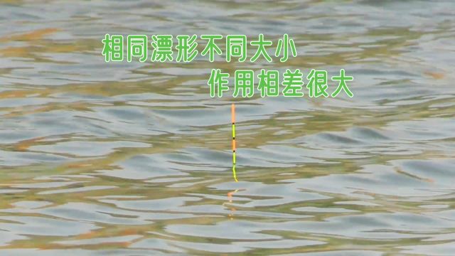 相同漂形不同大小,作用却相差很大,教你用好漂盒里的每一支浮漂