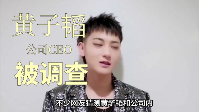 黄子韬公司CEO被调查,龙韬娱乐发布声明