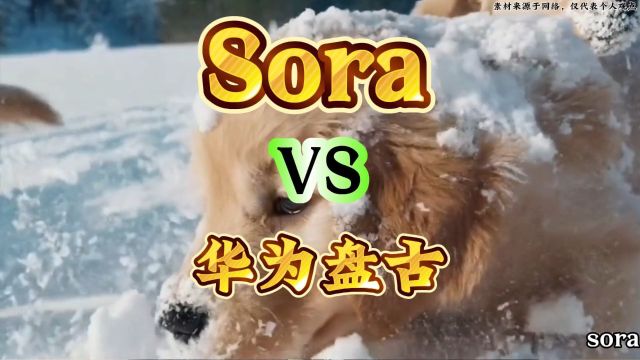 sora火爆发布,对比华为盘古