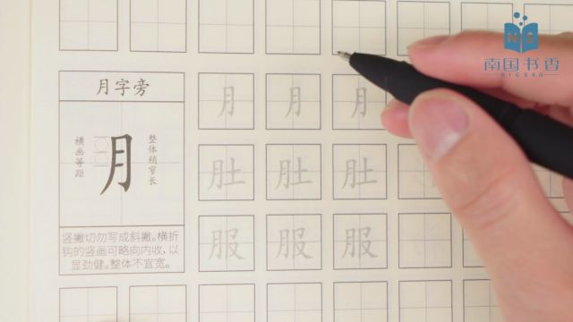 间架结构月字旁