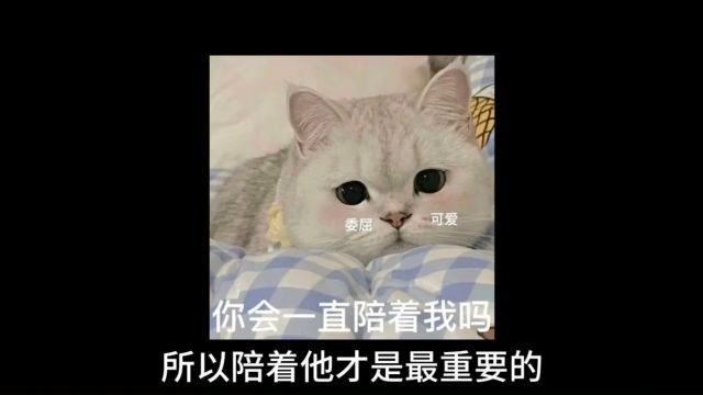 一定要拿小本本记好!真的很重要