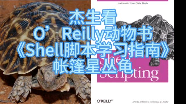 杰生看动物书019《Shell脚本学习指南》帐篷#星丛龟#动物世界