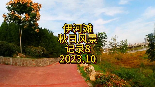 洛阳伊河滩中秋风景记录8时间2023.10