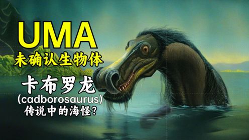 【UMA档案】传说中的巨型海怪卡布罗龙，是否真的存在？