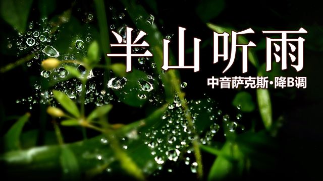 古风纯音乐《半山听雨》,意境如画沁人心脾,萨克斯曲调悠扬!