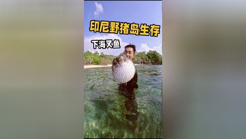 印尼野猪岛生存第五集,存粮被猴子偷走后,编制鱼笼潜水叉鱼