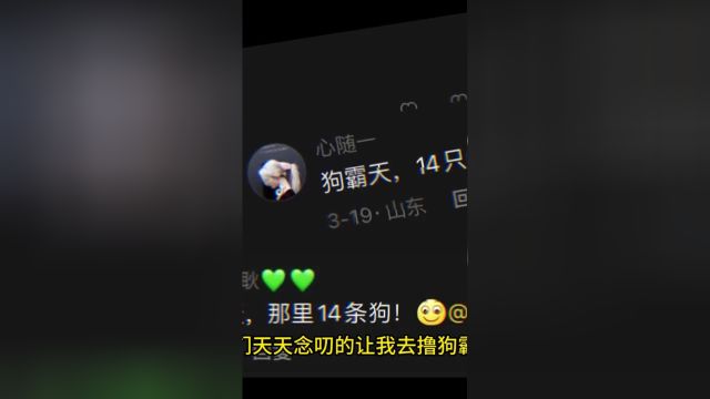 一次撸14只和是什么体验