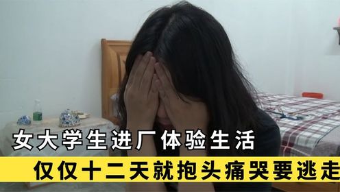 女大学生进厂拍摄纪录片,12天后她抱头痛哭,跪求导演放她离开