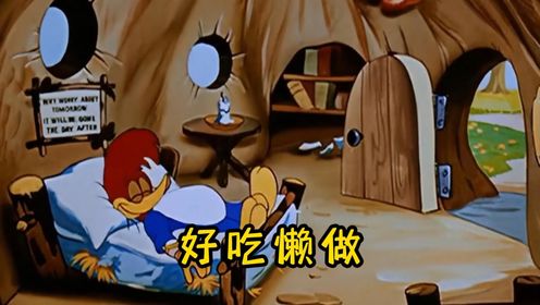 从没见过这么好吃懒做的啄木鸟,把自己饿死了都不去存粮