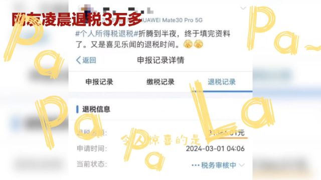 网友凌晨蹲点退税!成功退3万,感叹国家福利丰厚