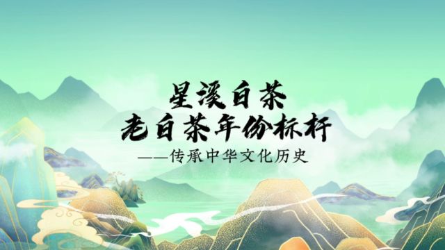 星溪白茶ⷨ€白茶年份标杆