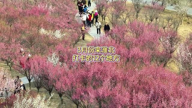 3月来淮北打卡的12个地方,大家还知道更多的打卡地吗?