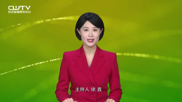 以“芹”致富 小芹菜带动“大经济”