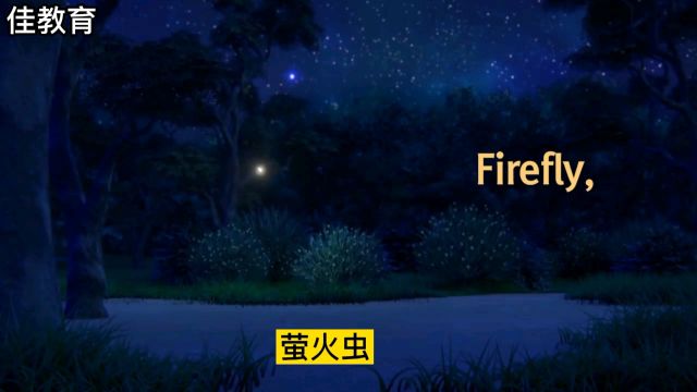 firefly萤火磨耳朵英文歌来啦!