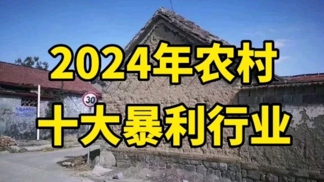 2024年,农村十大暴利行业