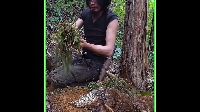 荒野求生,用弩弓进行狩猎,捕获体重超百斤的野猪1