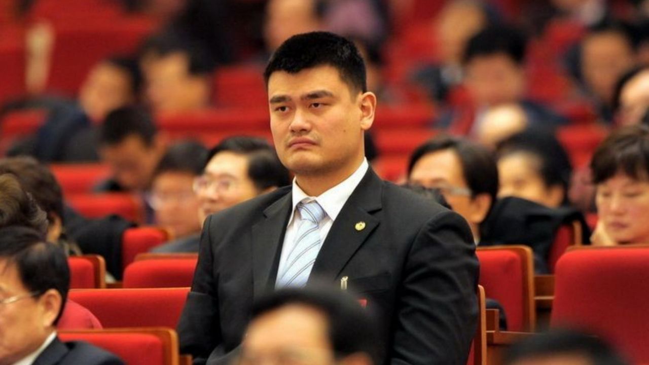 姚明亮相两会,独特身高成"显眼包",弯腰过安检又无奈又好笑