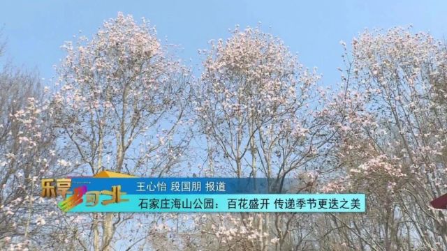 花开燕赵 美丽河北|石家庄海山公园:百花盛开 传递季节更迭之美