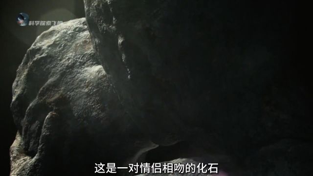 被火山灰掩埋近2000年的神秘古城,庞贝城的最后一日,到底发生了什么?