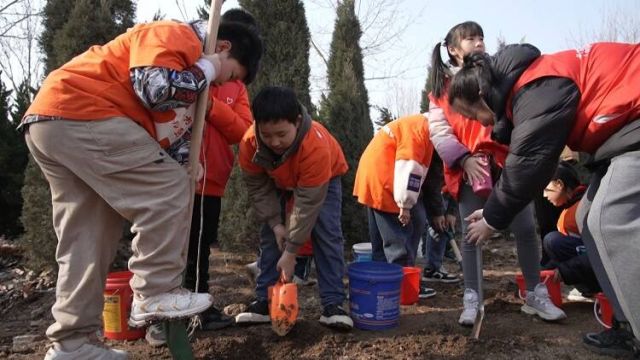 龙口市:亲子植树 播种绿色