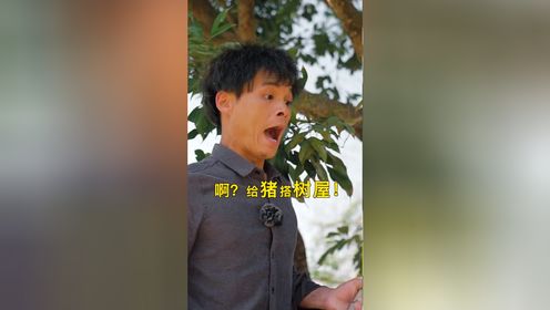 谁说猪不能上树,我们家的小香猪就要让它住树上,期待最后的效果_高清1080P在线观看平台_腾讯视频