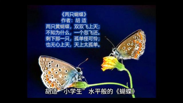 胡适“小学生”水平般的《蝴蝶》历史地位或许还高于鲁迅、郁达夫的名诗