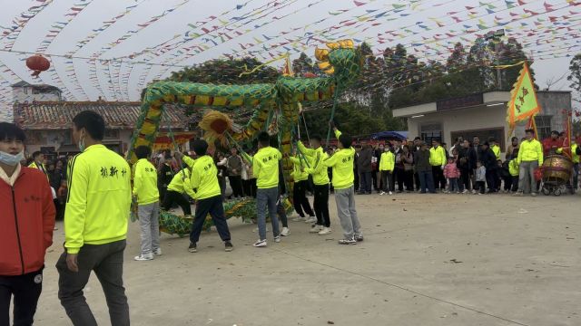 廉江市横山镇“排里新村”2024年正月十五年例游神排新龙队舞龙表演 欢度元宵 顺顺利利 国泰民安 风调雨顺